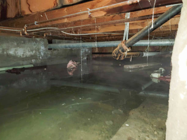 Best Emergency water damage restoration  in Belmont, CA
