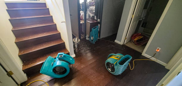 Best Flood restoration services  in Belmont, CA
