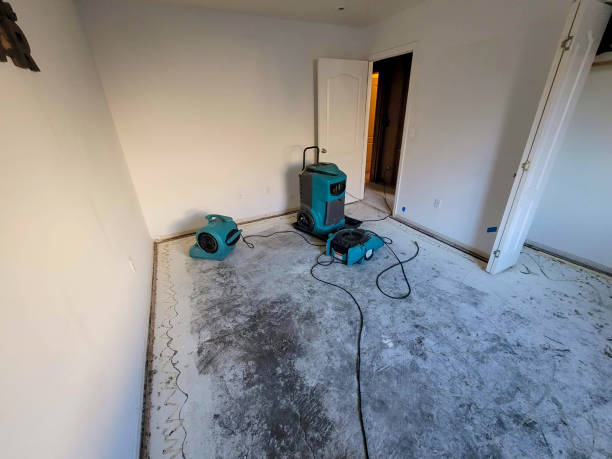  Belmont, CA Water damage restoration Pros