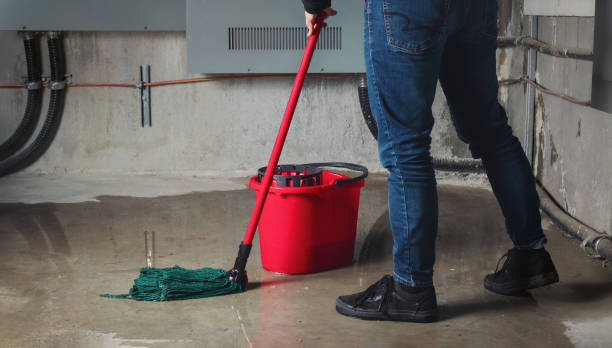 Best 24/7 water damage repair  in Belmont, CA