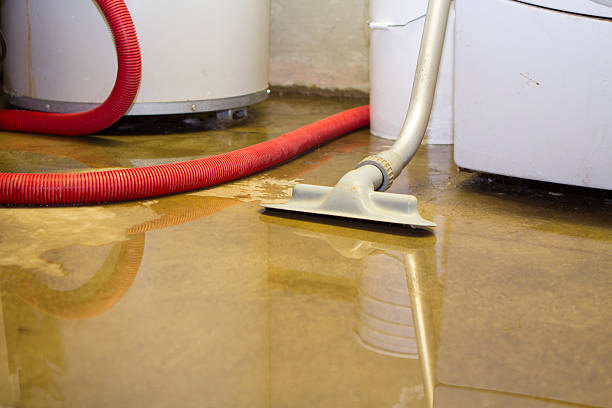 Best Basement water damage restoration  in Belmont, CA