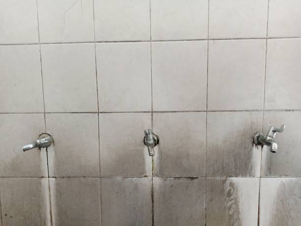Best 24-hour water damage restoration  in Belmont, CA