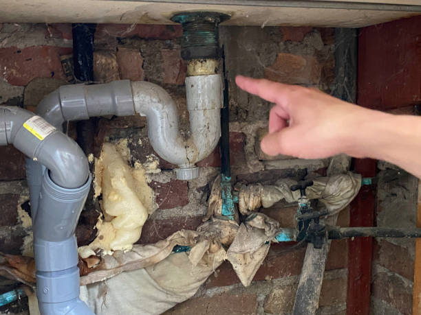 Best Basement water damage restoration  in Belmont, CA