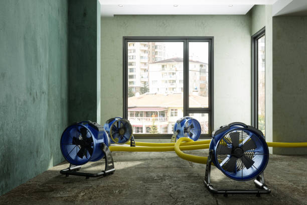 Best Local water damage restoration  in Belmont, CA