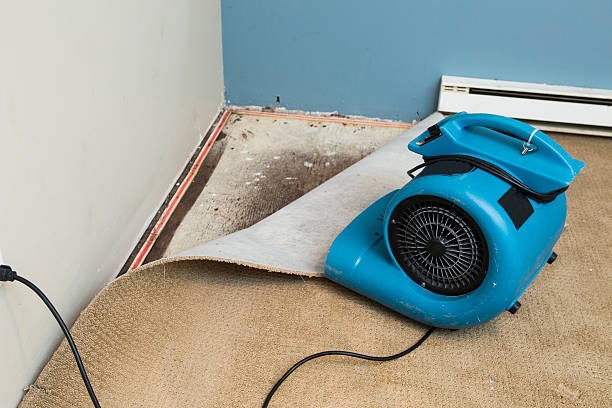 Best Residential water damage restoration  in Belmont, CA